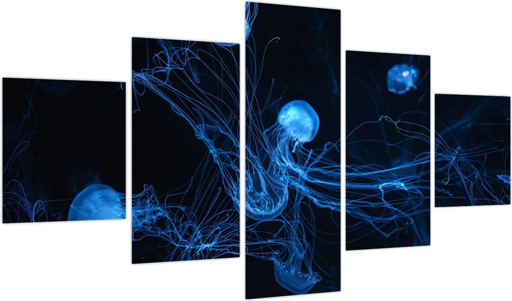 Obraz - Meduza (125x70 cm)