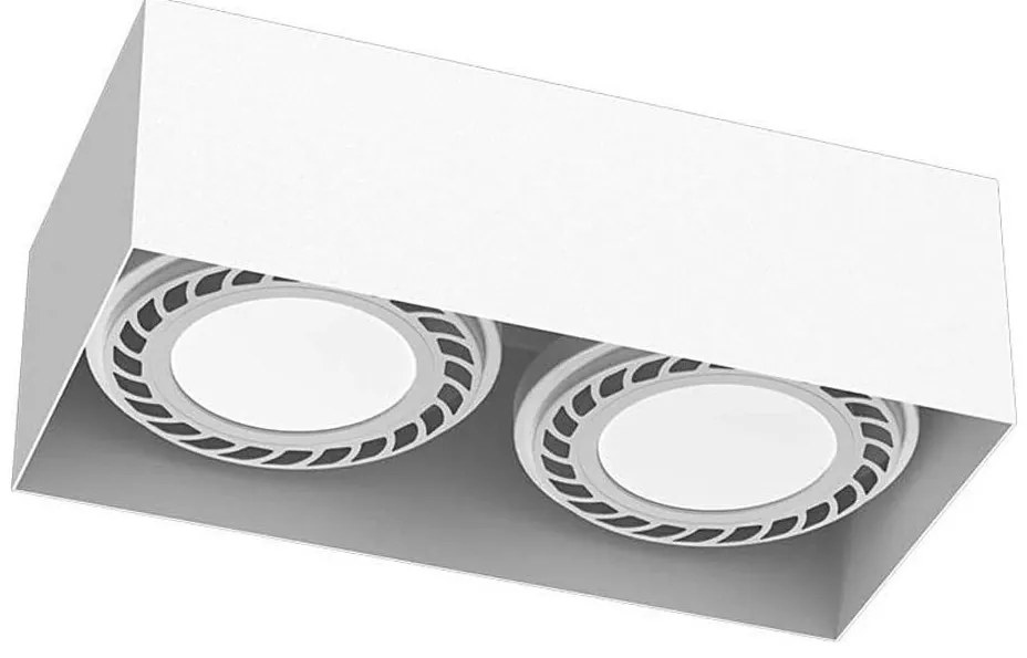 Brosline 1270 - Oprawa punktowa CAGE 2xGU10/18W/230V biała