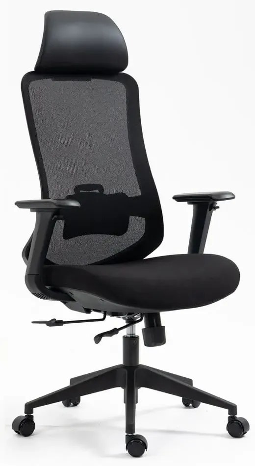 Fotel ergonomiczny Ergon czarny SIGNAL