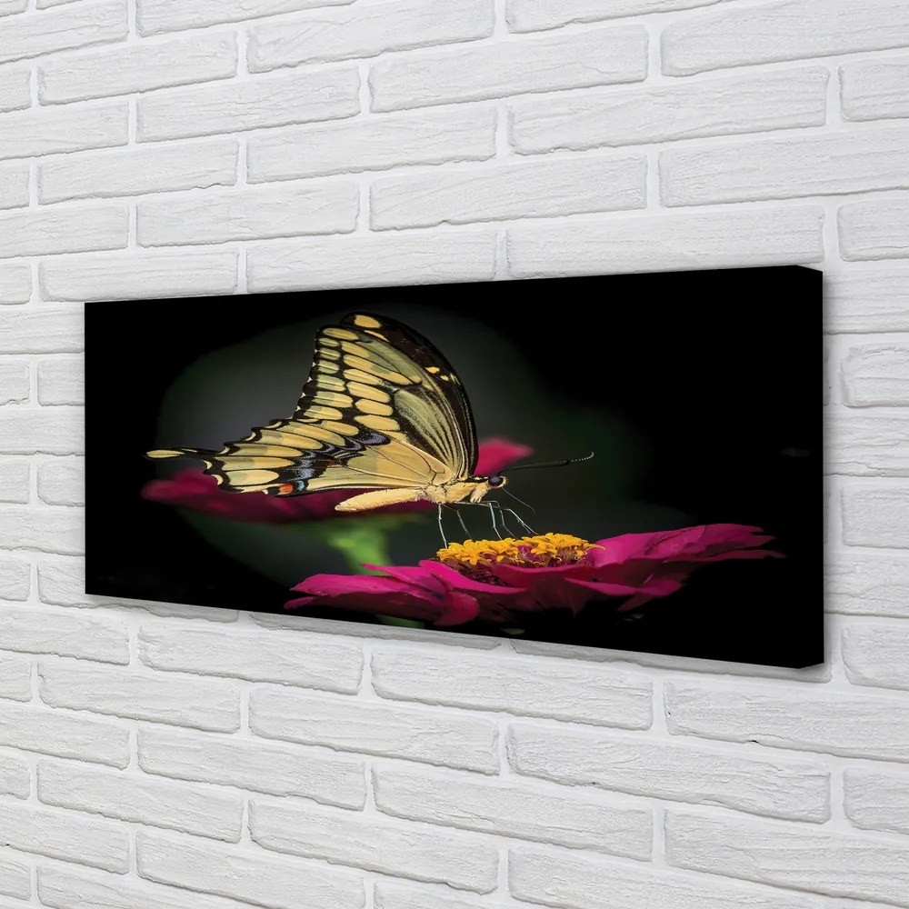 Obraz na płótnie Motyl na Roślinie