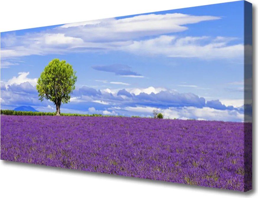 Obraz canvas Potężny Nur Górskiego Wodospadu