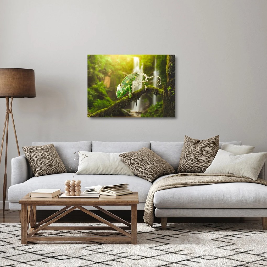 Obraz na szkle - kameleon (70x50 cm)