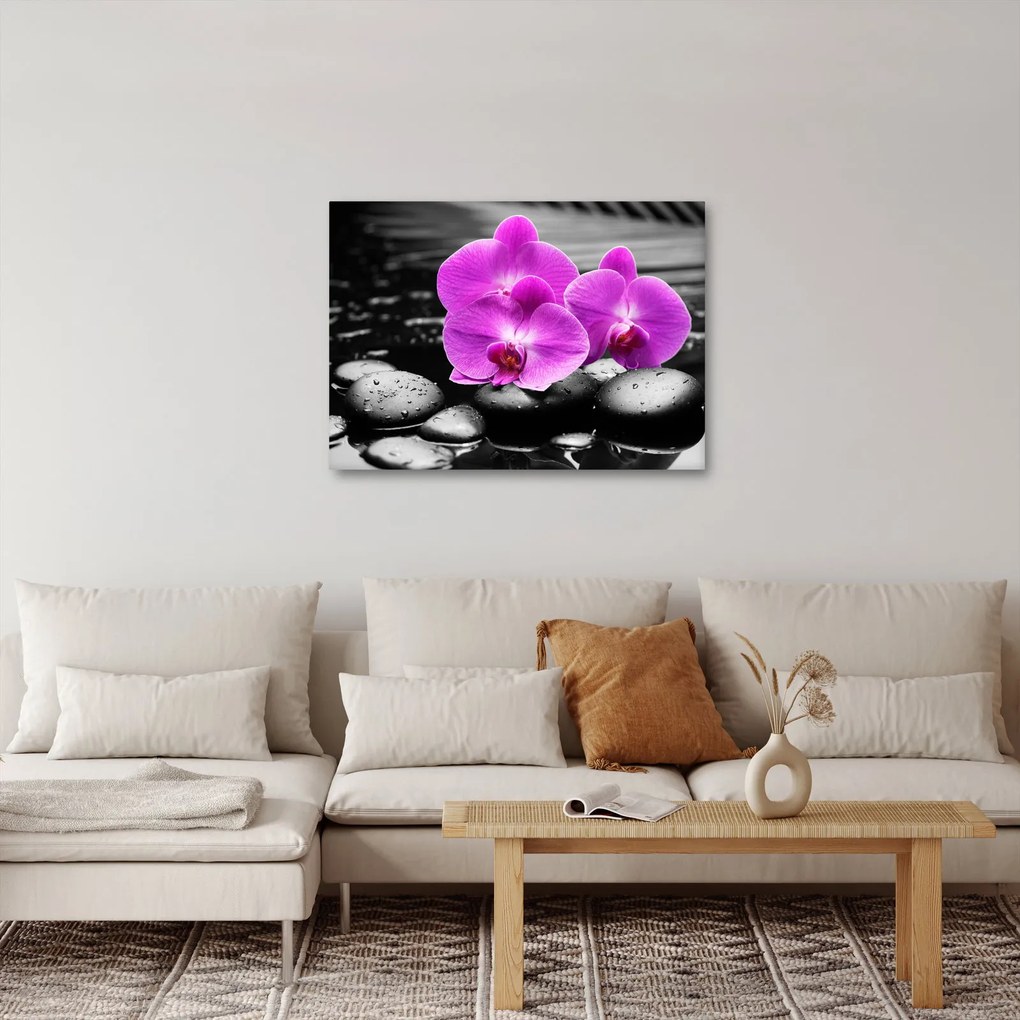 Obraz - Fioletowe orchidee (70x50 cm)