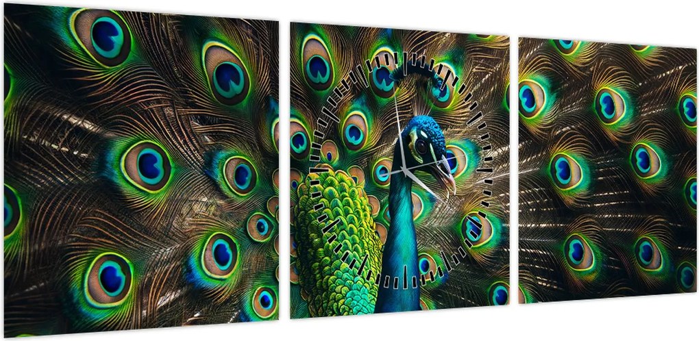 Obraz – Paw (z zegarem) (90x30 cm)