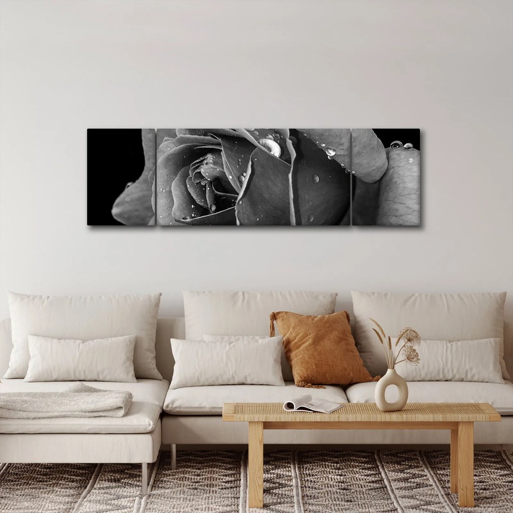 Obraz róży - czarno - biały (170x50 cm)