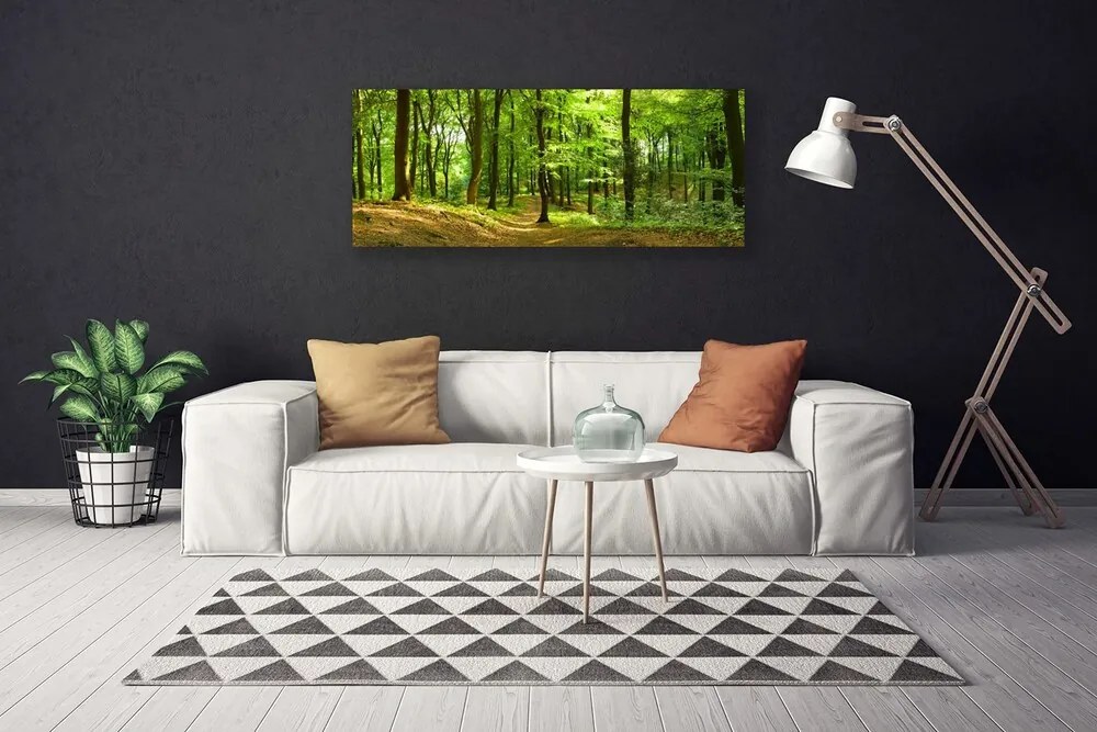 Obraz na Płótnie Las Ścieżka Natura