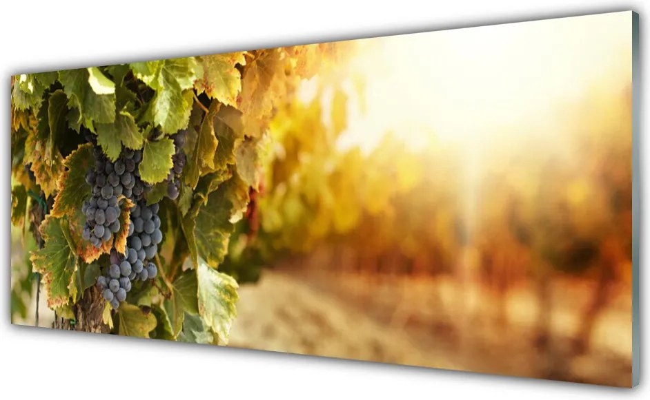 Panel Szklany Winna Winorośl w Detalu