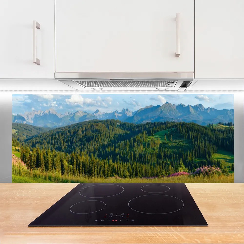 Panel Szklany Szczyty Gór w Gęstym Lesie