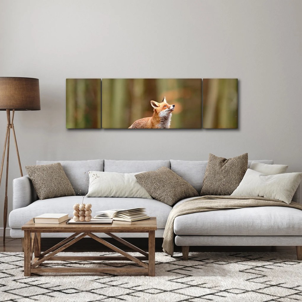 Obraz - Lis (170x50 cm)