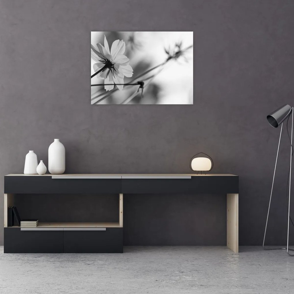 Obraz - Czarno - białe kwiaty (70x50 cm)