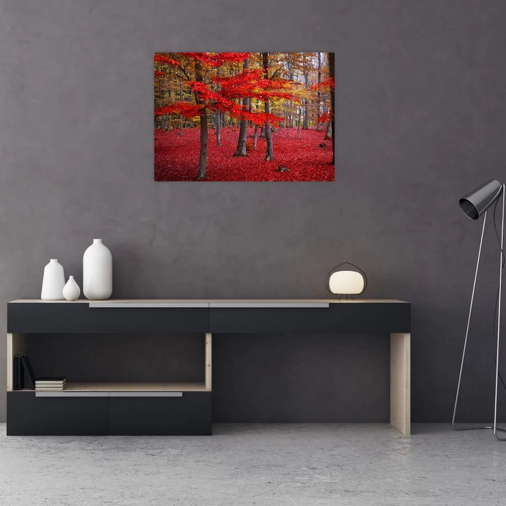 Obraz - Czerwony Las (70x50 cm)