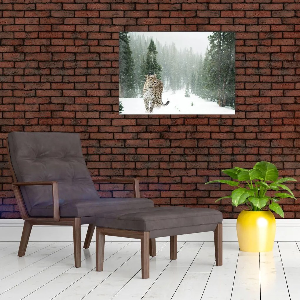 Obraz lamparta na śniegu (70x50 cm)