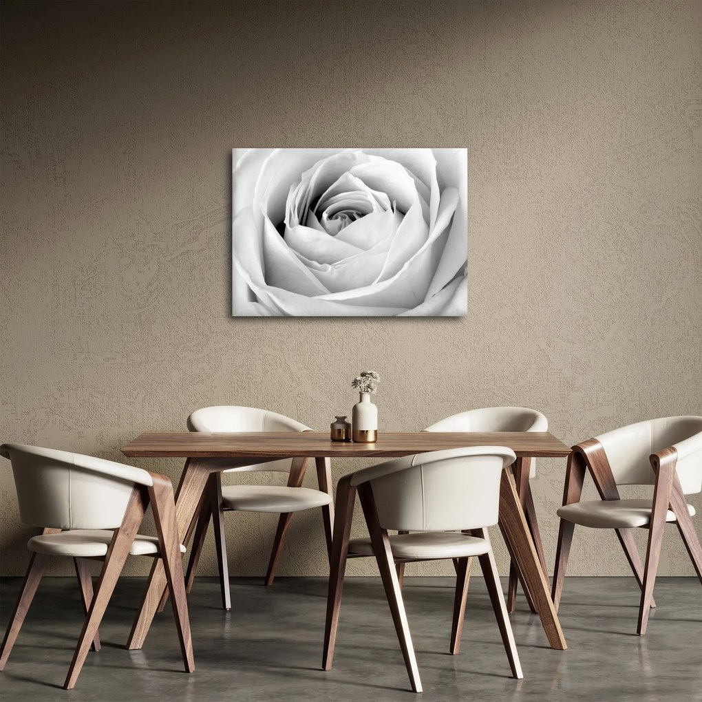 Obraz - Detal kwiatu róży (70x50 cm)