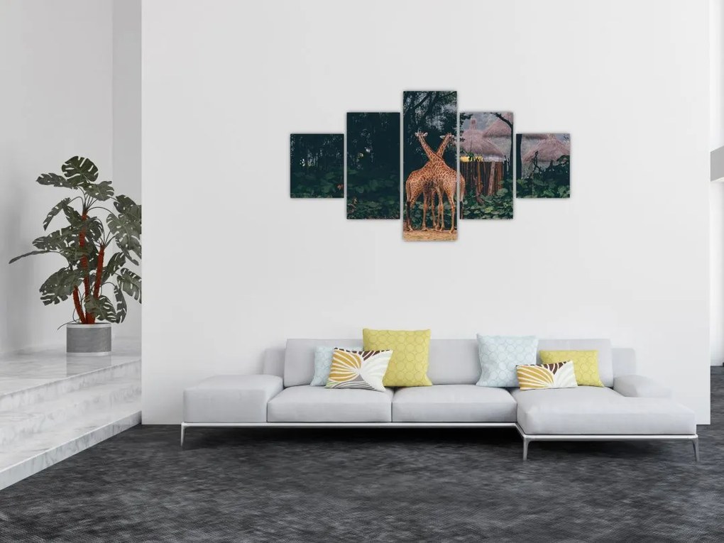 Obraz dwóch żyraf (125x70 cm)