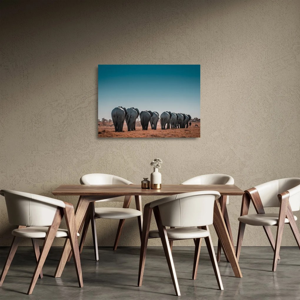 Obraz na szkle - Odejście słoni (70x50 cm)