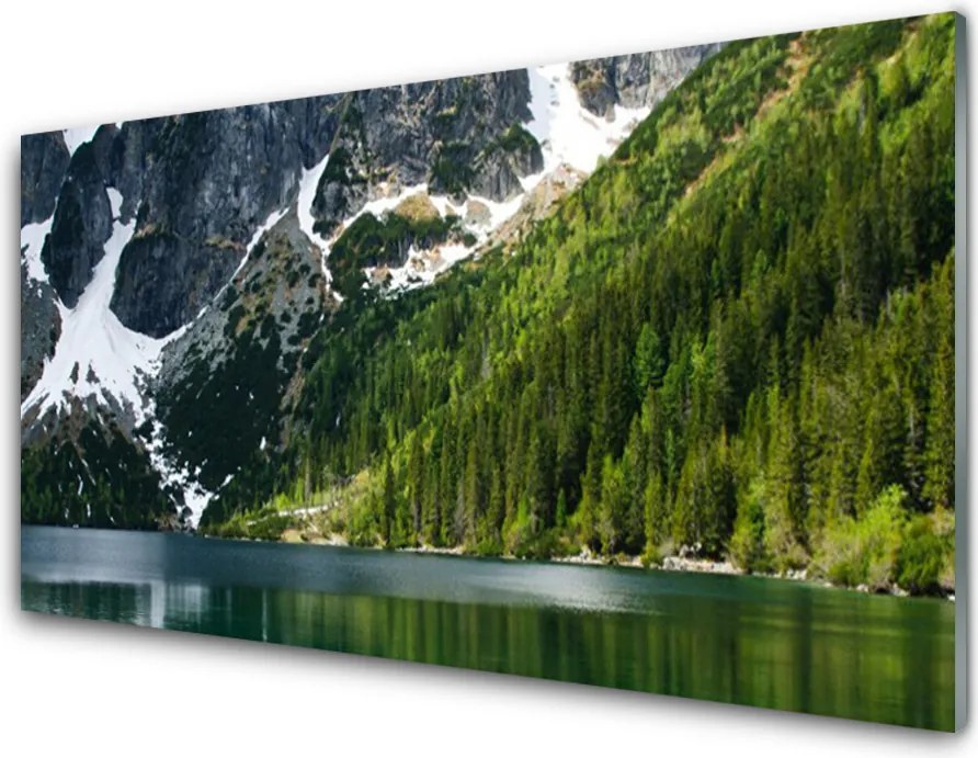 Panel Szklany Panorama Alpejskiej Natury