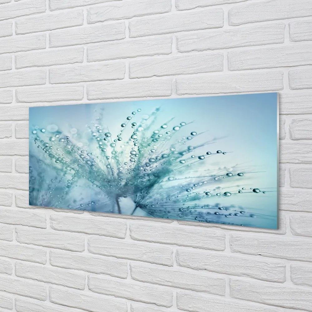 Panel nad Blat Kuchenny Ulotne Krople na Dmuchawcu