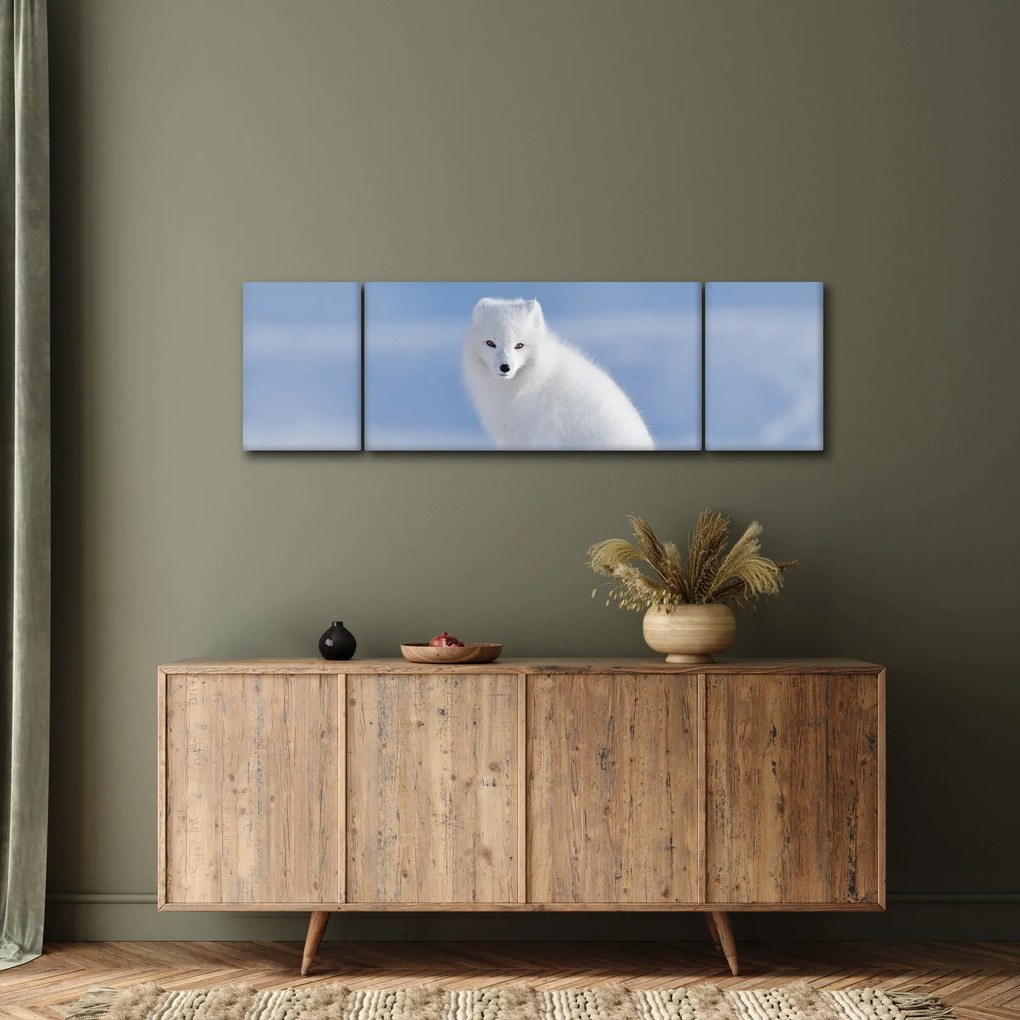Obraz - Lis polarny (170x50 cm)
