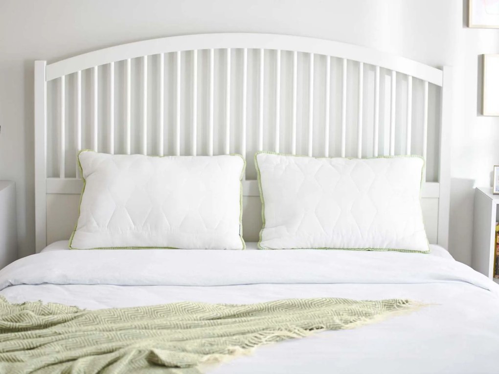 Klasyczna poduszka Aloe Vera II 50x70 cm 50x70 cm