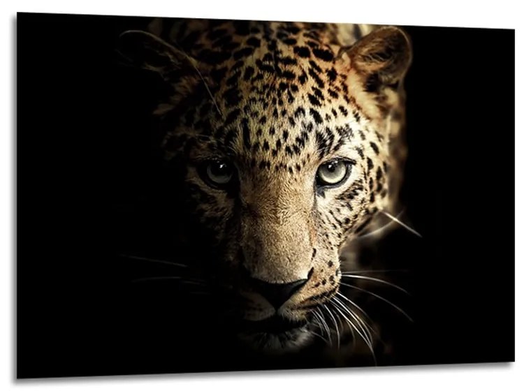 Szklany obraz 100x70 cm Leopard – Styler