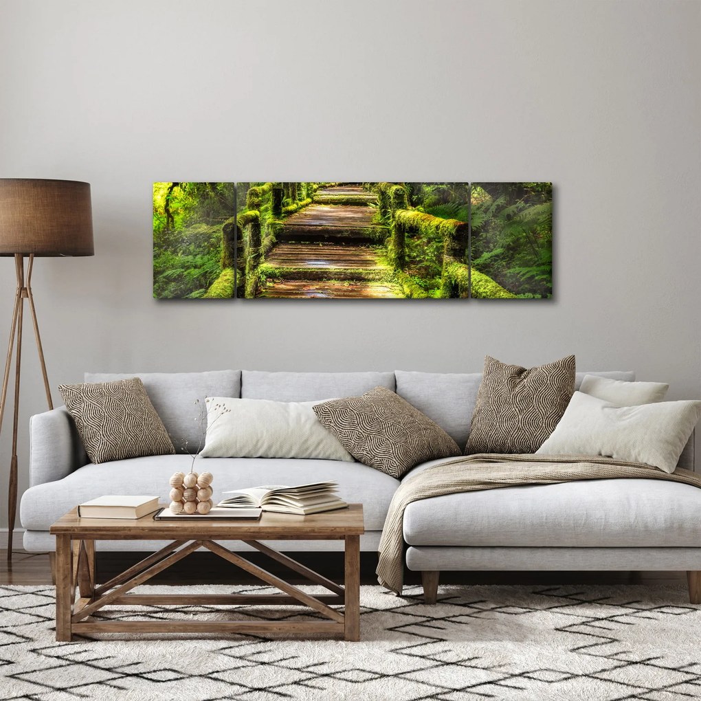 Obraz schodów w deszczowym pralesie (170x50 cm)