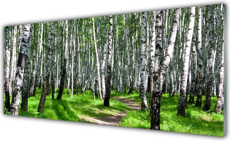 Panel Kuchenny Spokój Leśnej Ścieżki