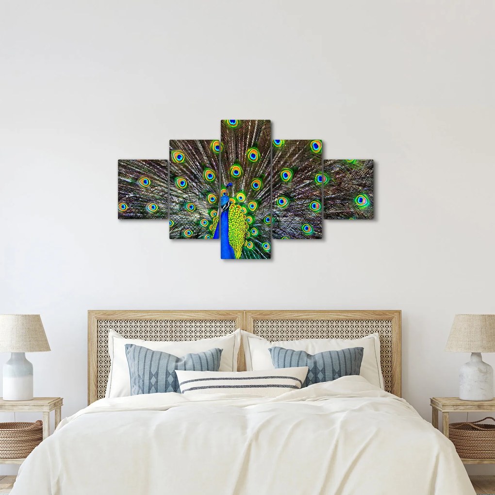 Obraz - Paw (125x70 cm)