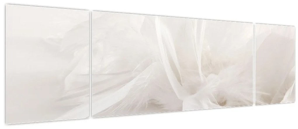 Obraz - Pióro (170x50 cm)
