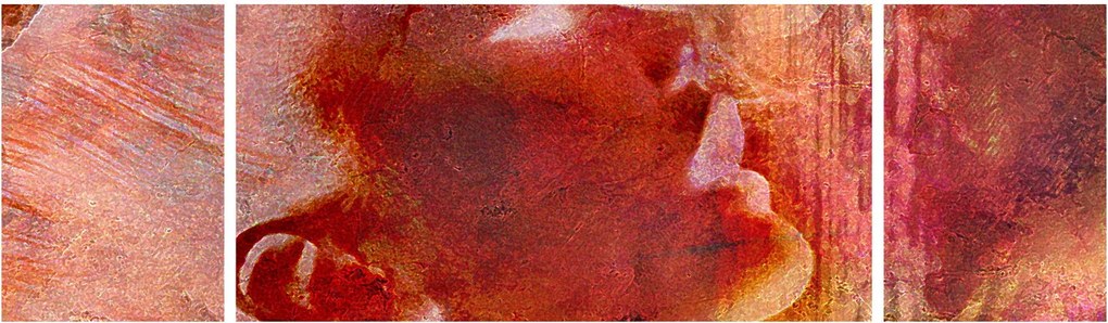 Obraz - Profil twarzy kobiety (170x50 cm)