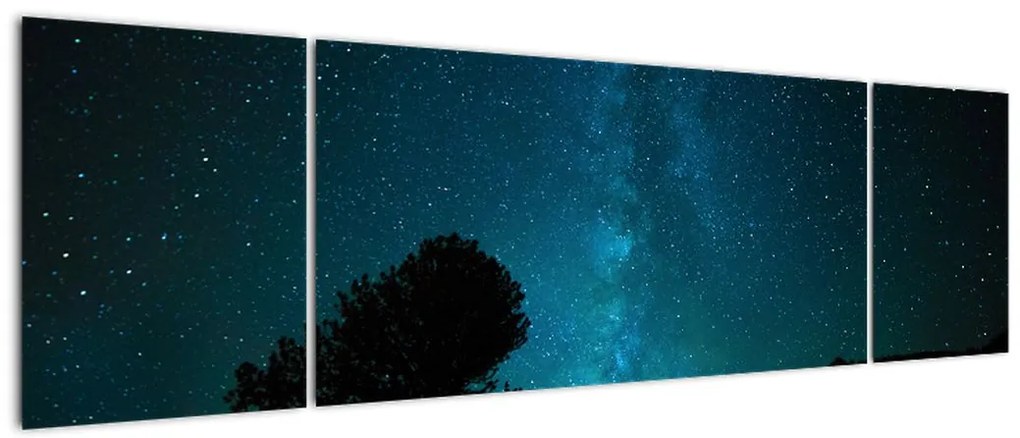 Obraz nocnego nieba z gwiazdami (170x50 cm)