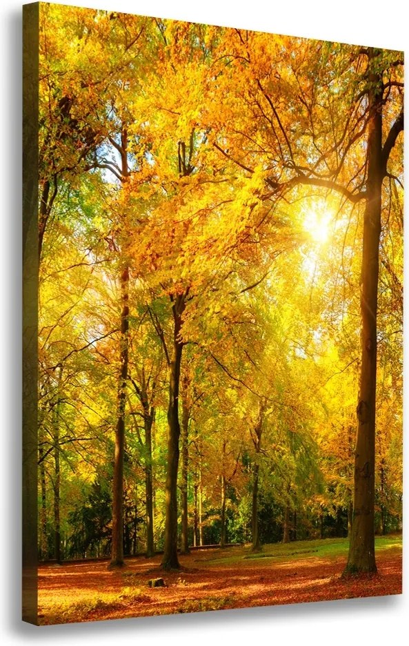 Foto obraz canvas pionowy Las jesienią