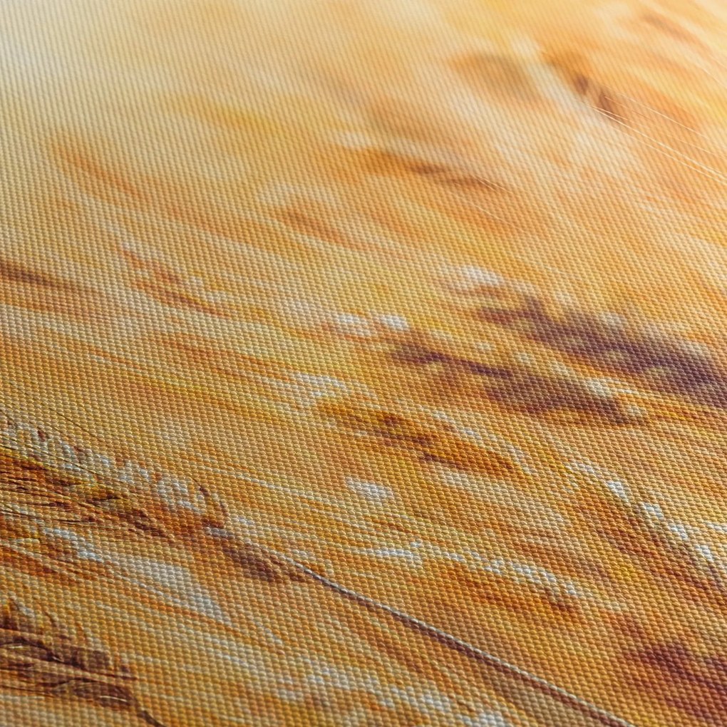 Obraz - pole z ziarnami (125x70 cm)