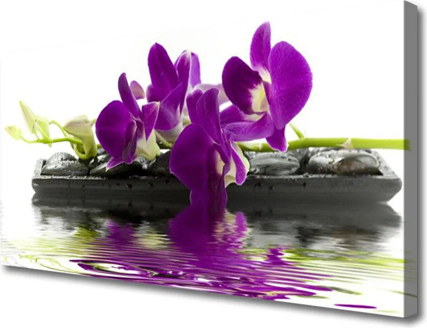 Obraz canvas Letni Ogród na Płótnie