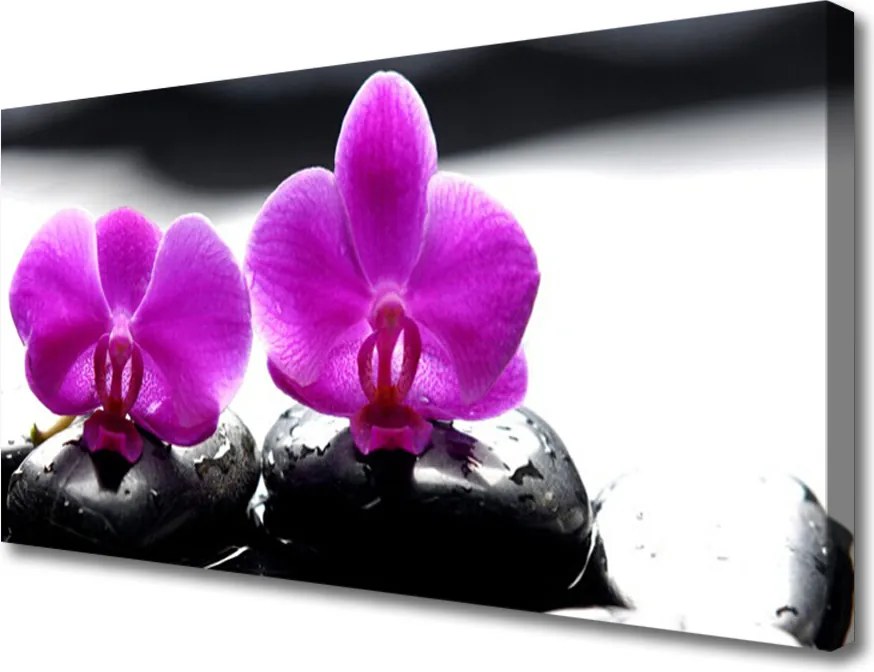 Obraz canvas Szlachetny Kwiat Orchidei