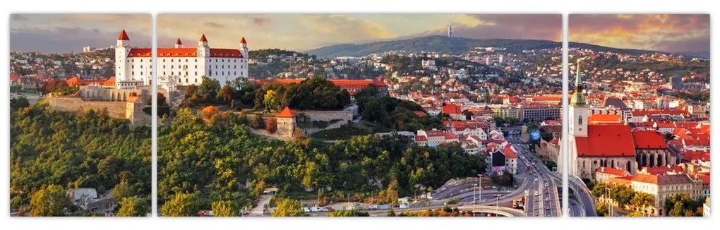 Obraz - Panorama Bratysławy, Słowacja (170x50 cm)