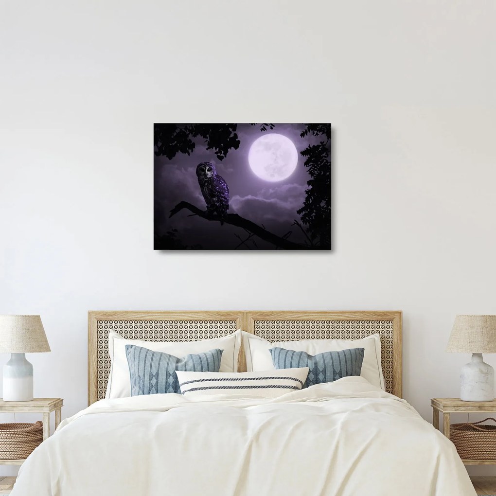 Obraz na szkle - Nocna sowa, fioletowy (70x50 cm)