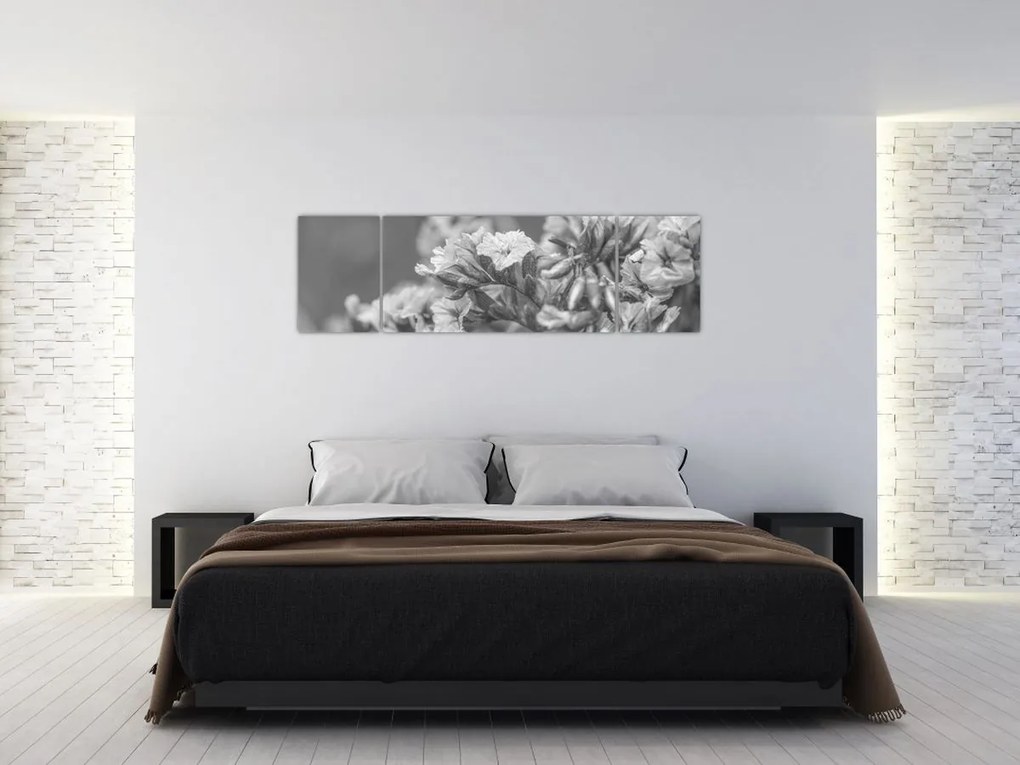Obraz - Suszone kwiaty (170x50 cm)