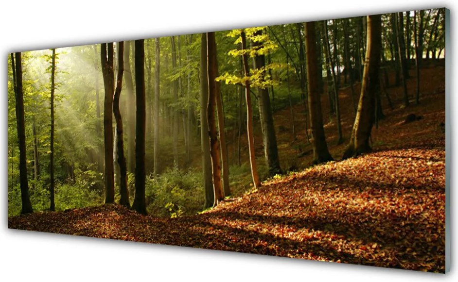 Panel Szklany Głęboka Zieleń Lasu