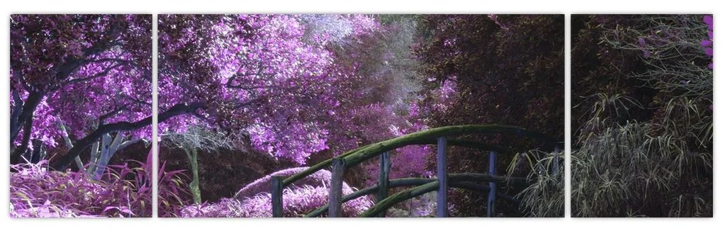 Obraz - Mistyczny ogród (170x50 cm)