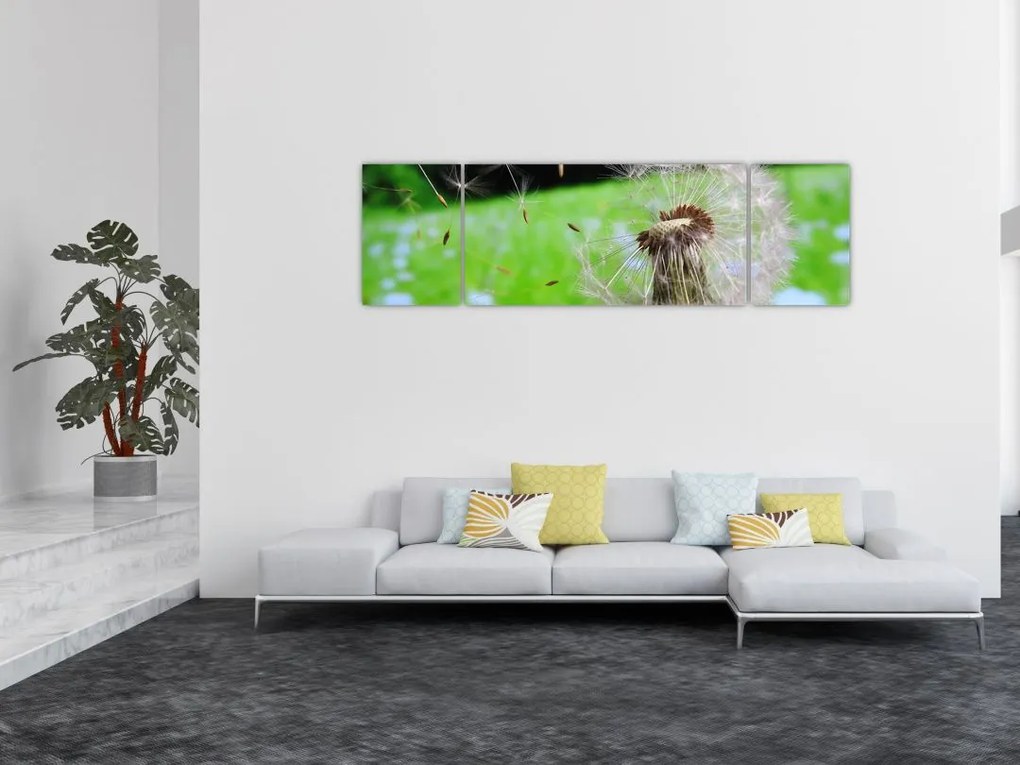 Obraz dmuchawca (170x50 cm)