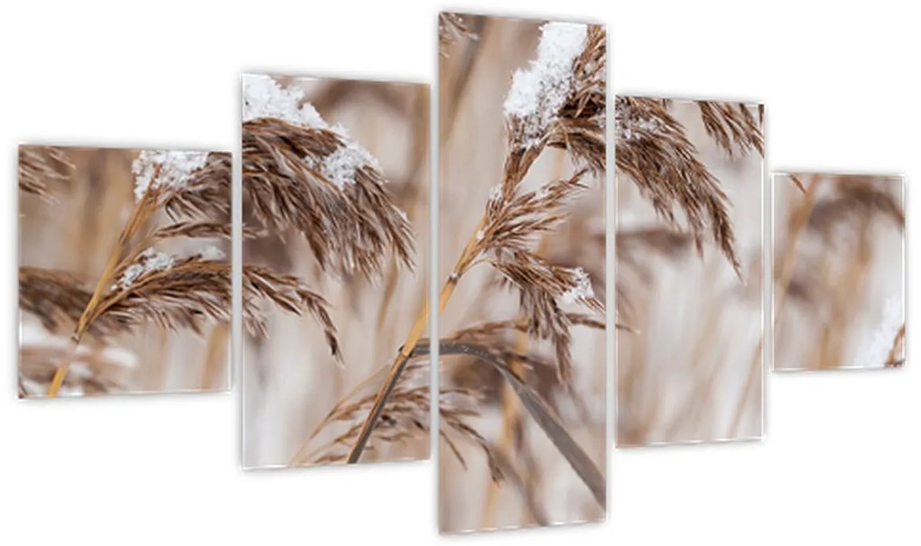 Obraz - Lipnice (125x70 cm)
