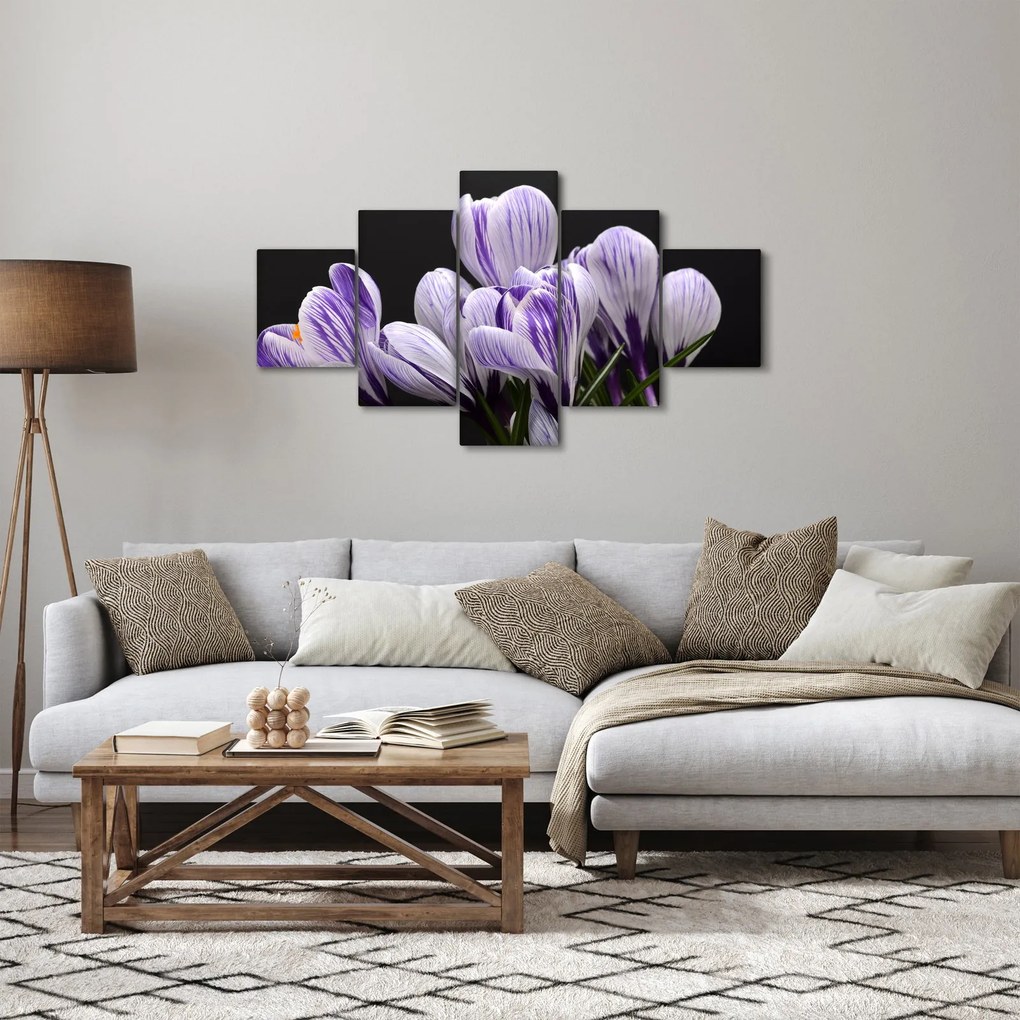 Obraz - Fioletowe krokusy (125x70 cm)