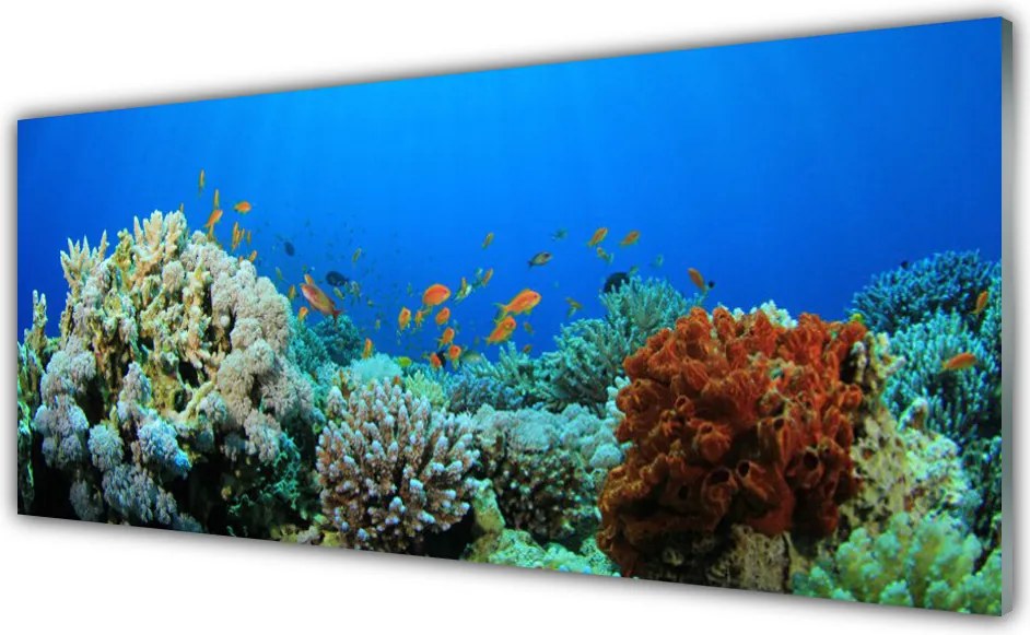 Panel Szklany do Kuchni Kolorowe Życie Oceanu