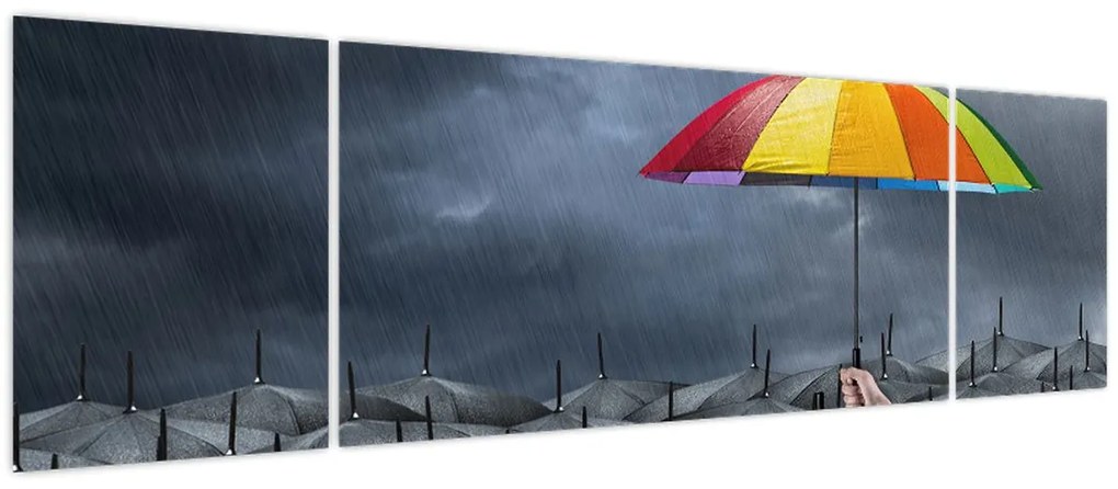 Obraz - Parasole (170x50 cm)