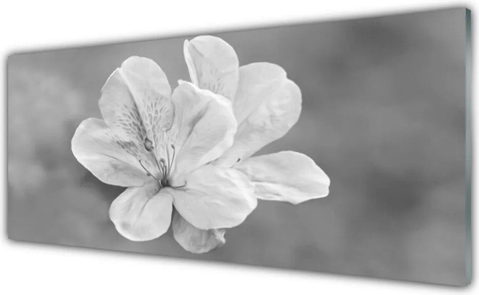 Obraz Akrylowy Kwiaty Roślina