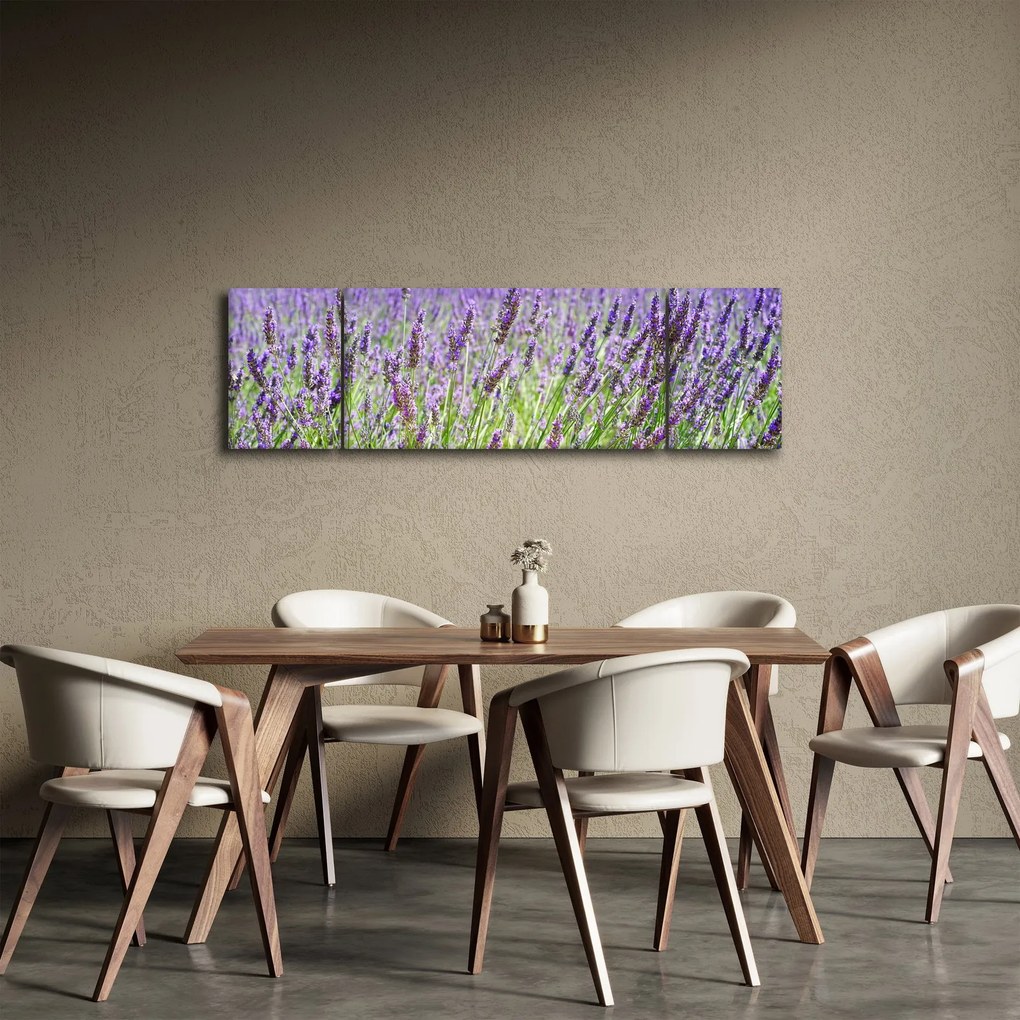 Obraz pola z lawendą (170x50 cm)