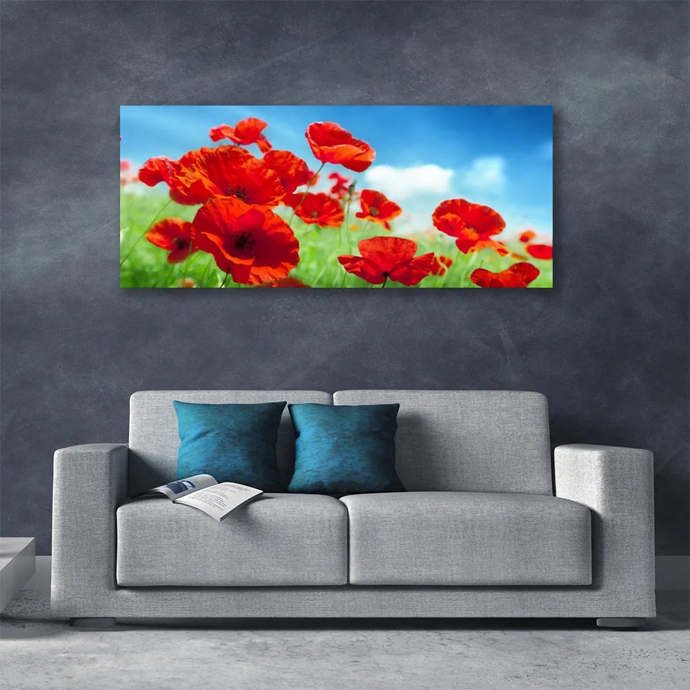 Obraz canvas na ścianę Maki w Porannej Rosie