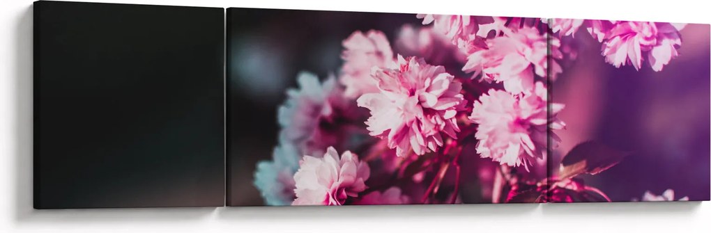 Obraz kwiatów drzewa (170x50 cm)