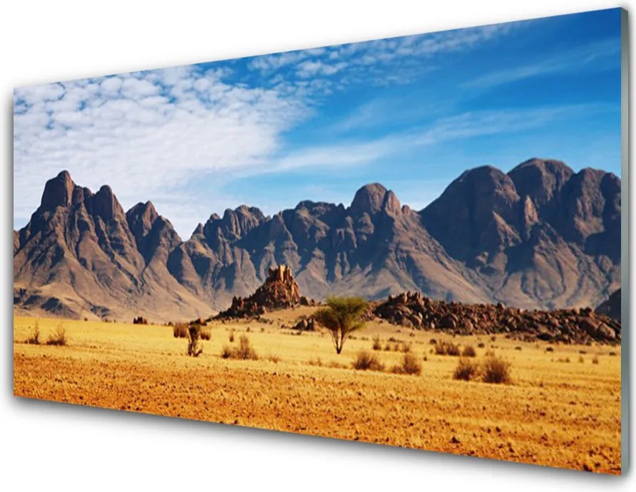 Panel Szklany Surowe Góry na Pustyni