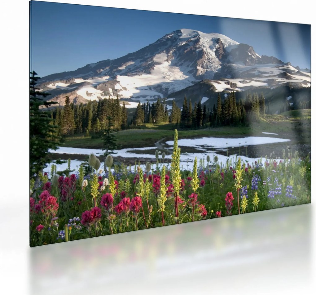 Obraz na szkle - Mount Rainier (70x50 cm)